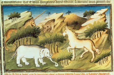 Ms Fr 2810 f.59v, Mythische dieren in de wildernis, uit 